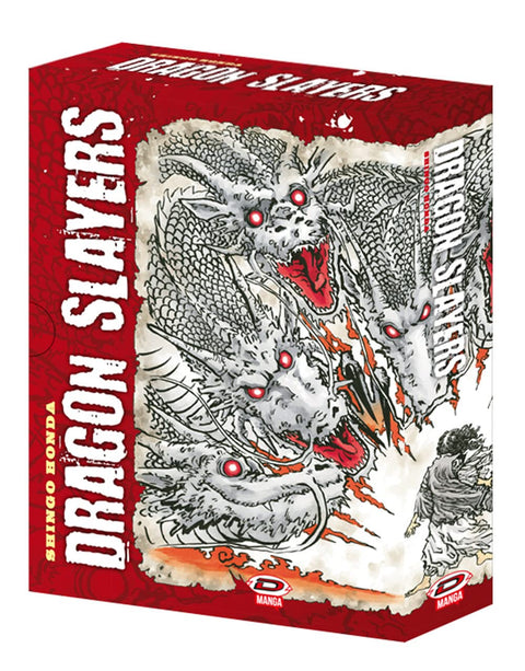 Dragon Slayers - Box